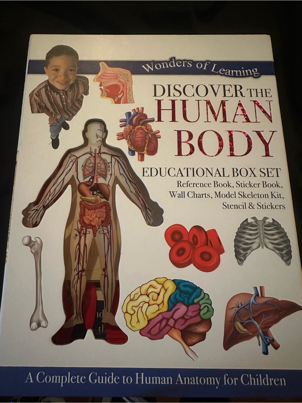 Discover the Human Body
